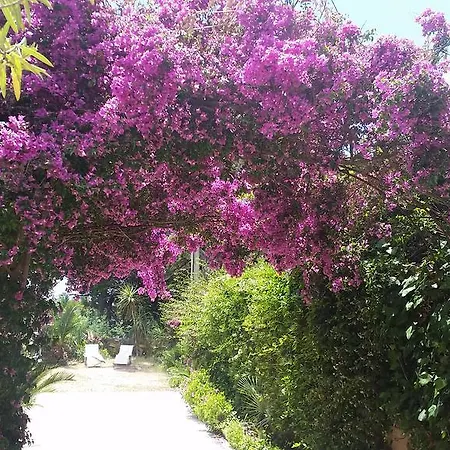 Willa Provencale A Maxime, Golf De Saint Tropez