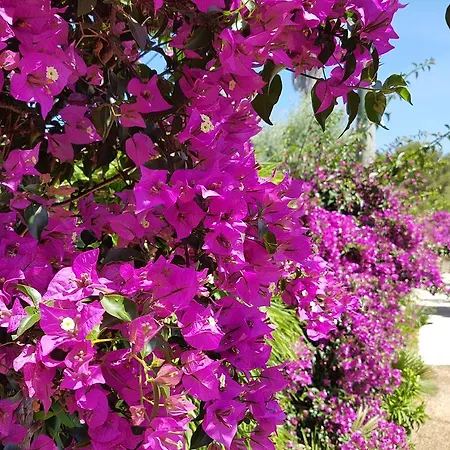 Provencale A Maxime, Golf De Saint Tropez Sainte-Maxime