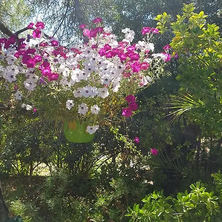 Provencale A Maxime, Golf De Saint Tropez Willa Sainte-Maxime