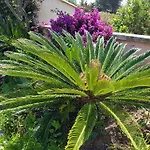 Provencale A Maxime, Golf De Saint Tropez ヴィラ