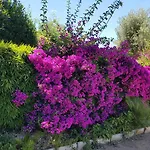 Provencale A Maxime, Golf De Saint Tropez וילה *