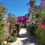 Provencale A Maxime, Golf De Saint Tropez サント・マキシム