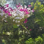 Provencale A Maxime, Golf De Saint Tropez ヴィラ サント・マキシム