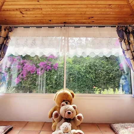 Provencale A Maxime, Golf De Saint Tropez