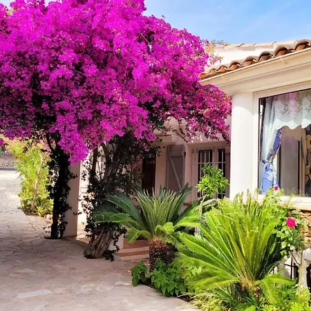 Provencale A Maxime, Golf De Saint Tropez *