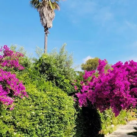 Provencale A Maxime, Golf De Saint Tropez *