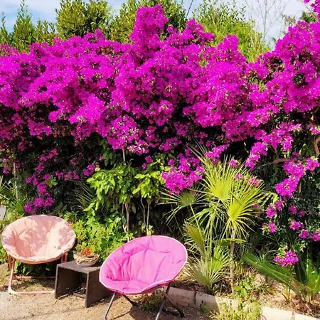 Provencale A Maxime, Golf De Saint Tropez Villa *