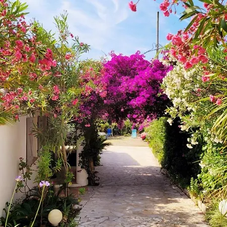 Provencale A Maxime, Golf De Saint Tropez *