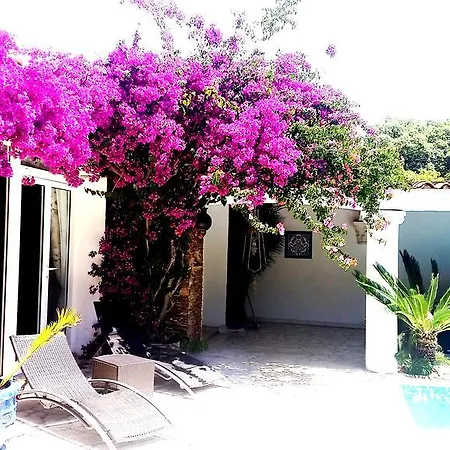 Provencale A Maxime, Golf De Saint Tropez Sainte-Maxime