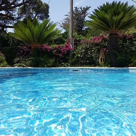 Provencale A Maxime, Golf De Saint Tropez Сент-Максим