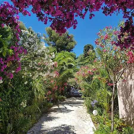 Provencale A Maxime, Golf De Saint Tropez * 생트막시메