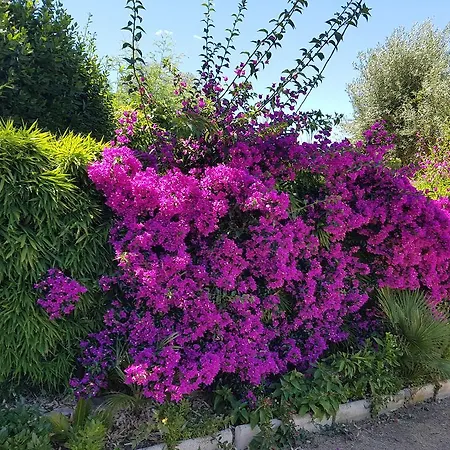 Provencale A Maxime, Golf De Saint Tropez 빌라 *