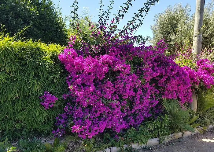 Provencale A Maxime, Golf De Saint Tropez וילה *